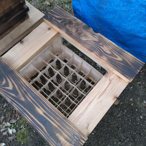 日本蜜蜂 重箱式巣箱用 巣門 巣門台 巣箱台 ハウス・小屋 ひのき 日本蜜蜂 重箱式巣箱用 巣門 巣門台 巣箱台 ハウス・小屋 ひのき