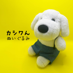 カシワんぬいぐるみ 犬 ふわふわ ゆるキャラ ぬいぐるみ 有限会社
