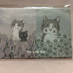 猫とお花の切手セット 2枚目の画像
