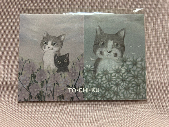 猫とお花の切手セット 2枚目の画像