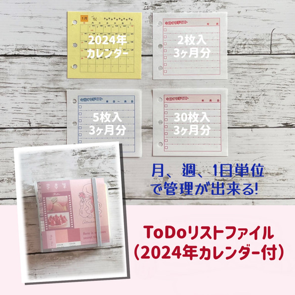 嵐DVD&ミニクリアファイル&スケジュールブック ToDoリストファイル（2024年カレンダー付）/ ミニファイル 手帳