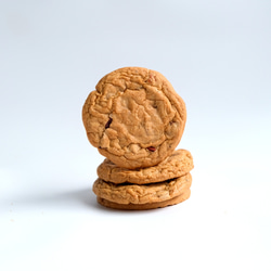 チョコレートチャンククッキー[常温便] 1枚目の画像
