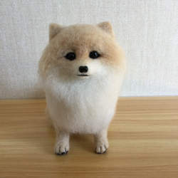 羊毛フェルト 犬 ポメラニアン 羊毛フェルト masapan 通販 16886760