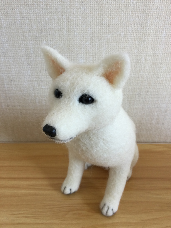 羊毛フェルト　日本犬　白柴　白い犬 7枚目の画像