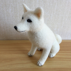 羊毛フェルト　日本犬　白柴　白い犬 3枚目の画像