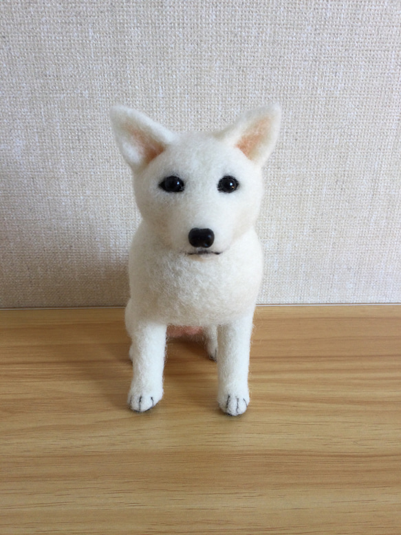 Yahoo!オークション - ぴのきち 9.0cmの白柴さん 羊毛フェルト