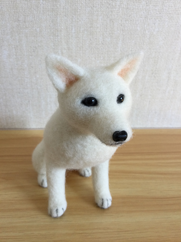 羊毛フェルト　日本犬　白柴　白い犬 6枚目の画像