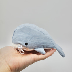 mini Whale Pouch (Light Blue) 食いしん坊くじら小物入れ 1枚目の画像