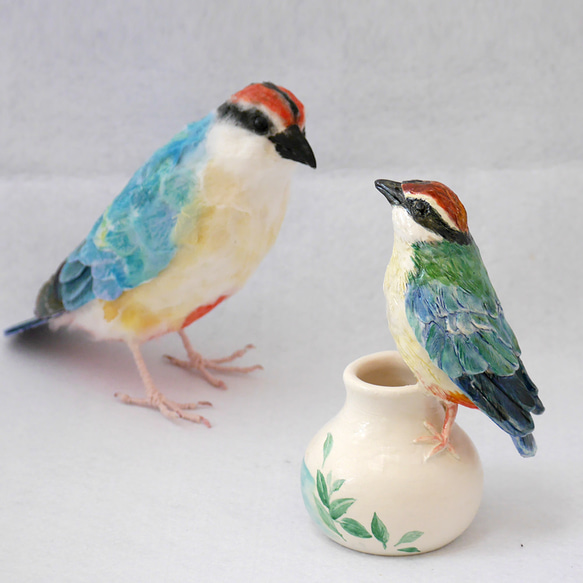陶器の小鳥「八色鳥（ヤイロチョウ）」 14枚目の画像