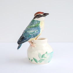陶器の小鳥「八色鳥（ヤイロチョウ）」 1枚目の画像