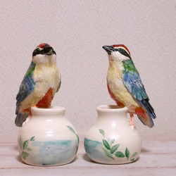 陶器の小鳥「八色鳥（ヤイロチョウ）」 9枚目の画像