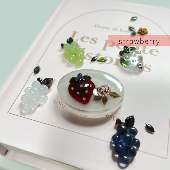 strawberry brooch  -fruit selection- 1枚目の画像