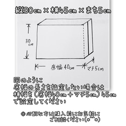 サイズオーダー［受注生産］電車大好き！☆上履き袋/上履き入れ/シューズバッグ/入学入園/男の子デニム新幹線/サイズ変更 10枚目の画像