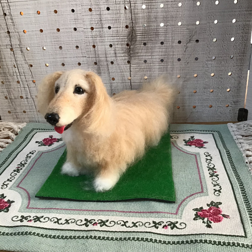 羊毛フェルト ミニチュアダックスフンド クリーム 犬