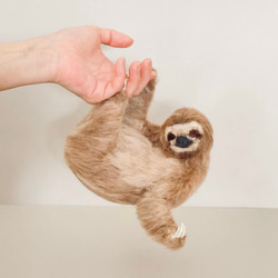 羊毛フェルト ミユビナマケモノ 羊毛フェルト 餡子猫 通販 16889127