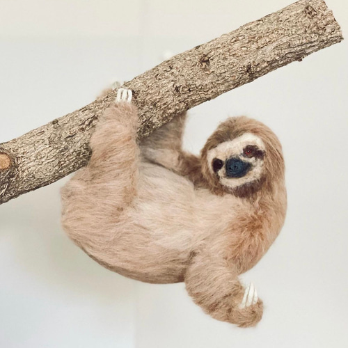 羊毛フェルト ミユビナマケモノ 羊毛フェルト 餡子猫 通販 16889127