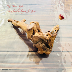 流木インテリア 芸術的な造形の流木の一輪挿し 植物や小物を置いて飾れる置物 天然流木 木材 癒し 10枚目の画像