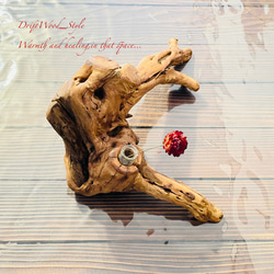 流木インテリア 芸術的な造形の流木の一輪挿し 植物や小物を置いて飾れる置物 天然流木 木材 癒し 8枚目の画像