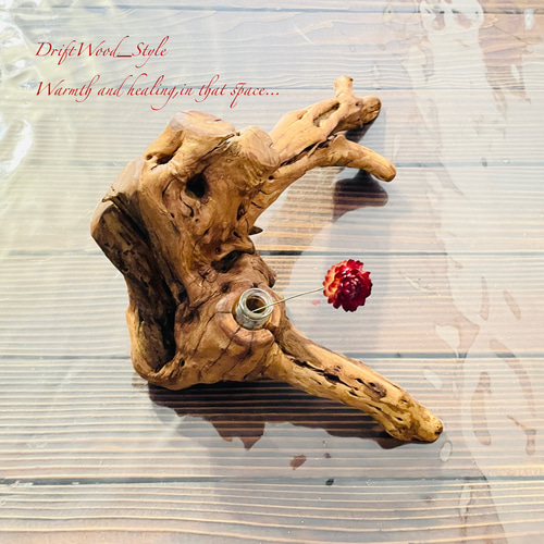 流木インテリア 芸術的な造形の流木の一輪挿し 植物や小物を置いて