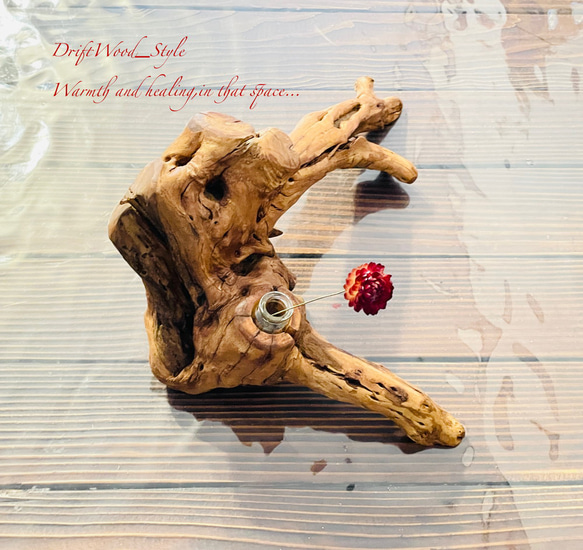 流木インテリア 芸術的な造形の流木の一輪挿し 植物や小物を置いて飾れる置物 天然流木 木材 癒し 8枚目の画像