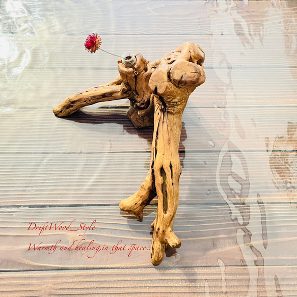 流木インテリア 芸術的な造形の流木の一輪挿し 植物や小物を置いて飾れる置物 天然流木 木材 癒し 9枚目の画像