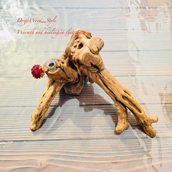 流木インテリア 芸術的な造形の流木の一輪挿し 植物や小物を置いて飾れる置物 天然流木 木材 癒し 6枚目の画像