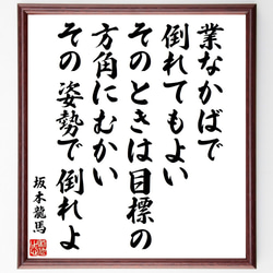 坂本龍馬の名言「業なかばで倒れてもよい、そのときは目標の方角