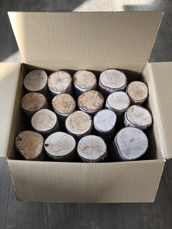 磨き燻蒸済処理　白樺幹ドライ　1箱（15〜17本入） 3枚目の画像