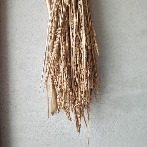 お正月飾り2024 迎春スワッグA／稲穂飾り／ドライ＆アーティ