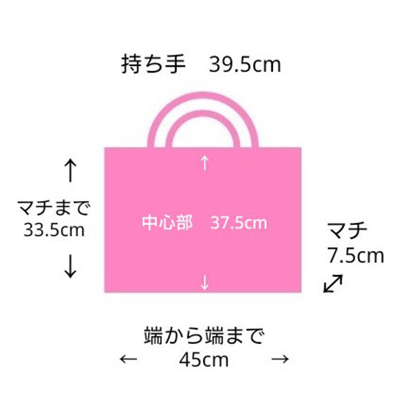 大きめサイズのレッスンバッグ (マチあり) お魚図鑑 33.5cm ✕ 45cm A4ファイル対応 5枚目の画像