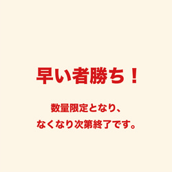 【数量限定☆予約スタート】2024年福袋☆総額1万円相当分 4枚目の画像