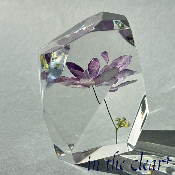 植物標本　額紫陽花　薄紫　レジン　鉱石型 2枚目の画像