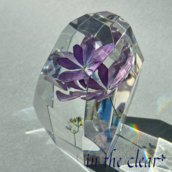 植物標本　額紫陽花　薄紫　レジン　鉱石型 10枚目の画像