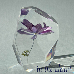 植物標本　額紫陽花　薄紫　レジン　鉱石型 4枚目の画像