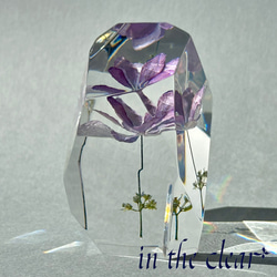植物標本　額紫陽花　薄紫　レジン　鉱石型 6枚目の画像