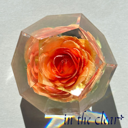 植物標本　薔薇　オレンジ　レジン　１２面体 2枚目の画像