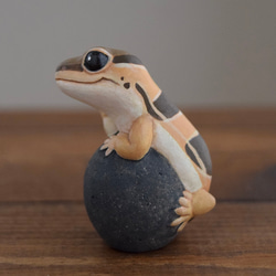 石の上にもニシアフリカトカゲモドキ　ノーマル 6枚目の画像