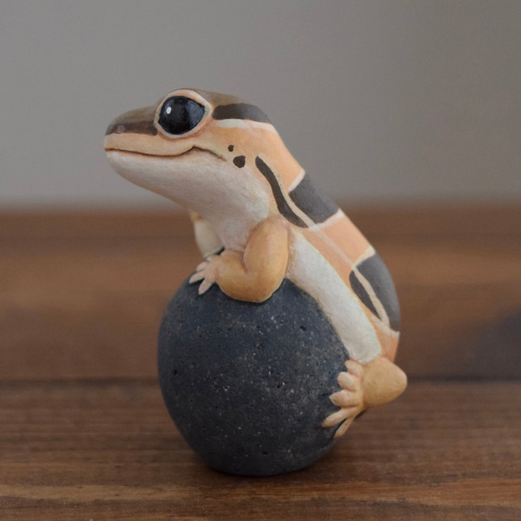 石の上にもニシアフリカトカゲモドキ　ノーマル 6枚目の画像