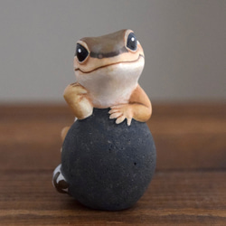 石の上にもニシアフリカトカゲモドキ　ノーマル 2枚目の画像