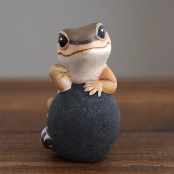 石の上にもニシアフリカトカゲモドキ　ノーマル 2枚目の画像