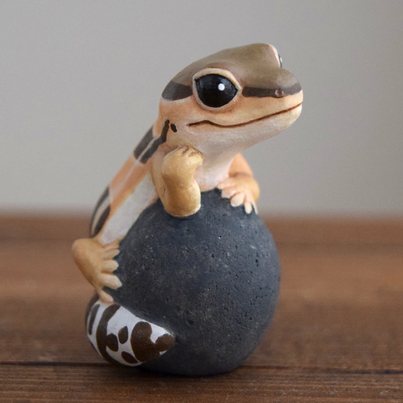 石の上にもニシアフリカトカゲモドキ　ノーマル 1枚目の画像