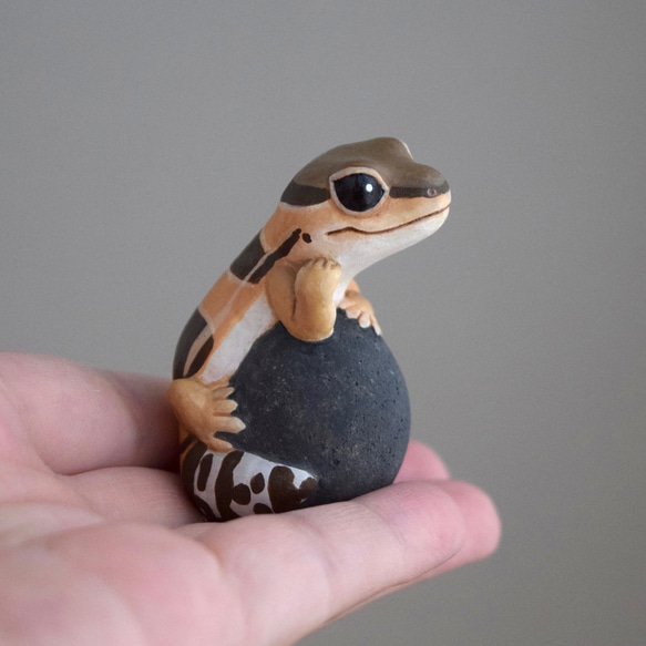 石の上にもニシアフリカトカゲモドキ　ノーマル 3枚目の画像