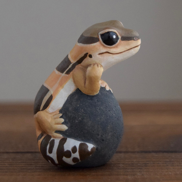 石の上にもニシアフリカトカゲモドキ　ノーマル 7枚目の画像