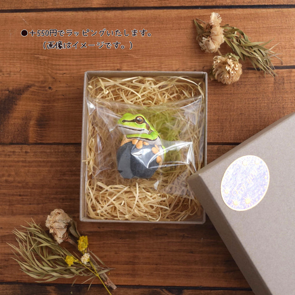 石の上にもニシアフリカトカゲモドキ　ノーマル 8枚目の画像