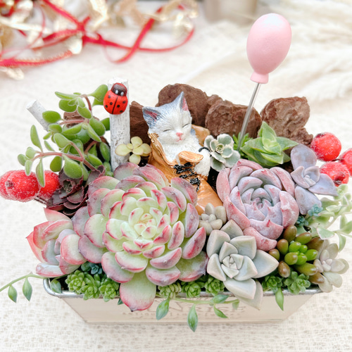 多肉植物 寄せ植え 長靴