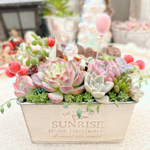 送料無料】再販♡ 長靴の中でスヤスヤ猫さん 多肉植物寄せ植え 多肉