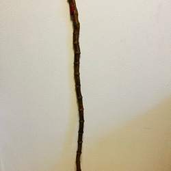 仙人の杖 その他インテリア雑貨 Natural工房 流木大陸 通販 16930581