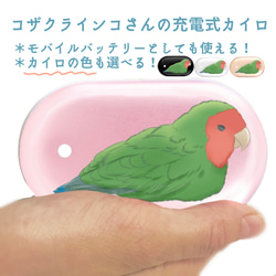 コザクラインコさんの充電式カイロ(モバイルバッテリー) 1枚目の画像