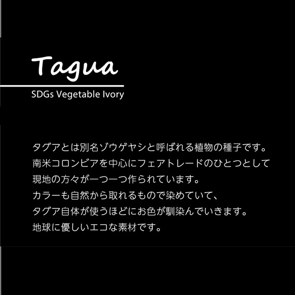 Tagua（タグア / ゾウゲヤシ）の3連ピアス / イヤリング　IV【Tag06】 3枚目の画像