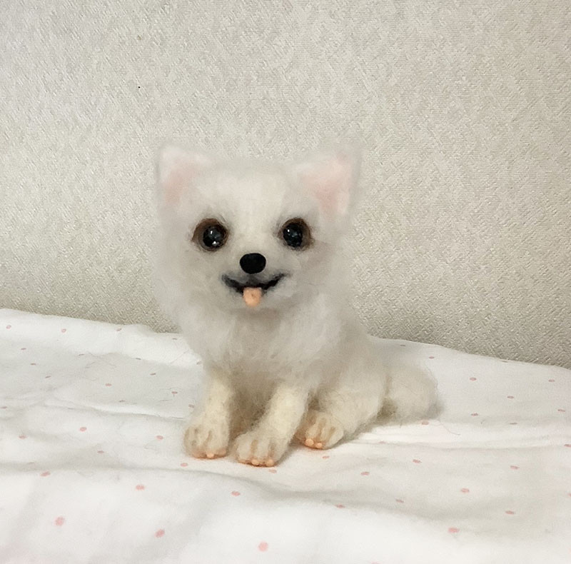羊毛フェルト　チワワ　あゆにぃ 羊毛フェルト チワワ あゆにぃ 羊毛フェルト チワワ あゆにぃ様専用